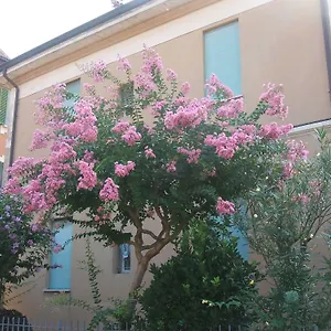 Accorsi Bologna